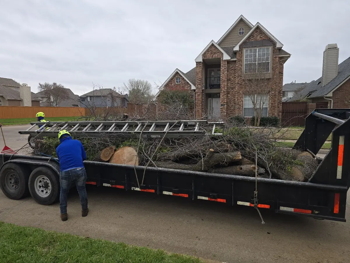 Expert Tree Fertilization with proper safety equipment in Bryant